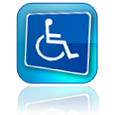 Handicap Vans